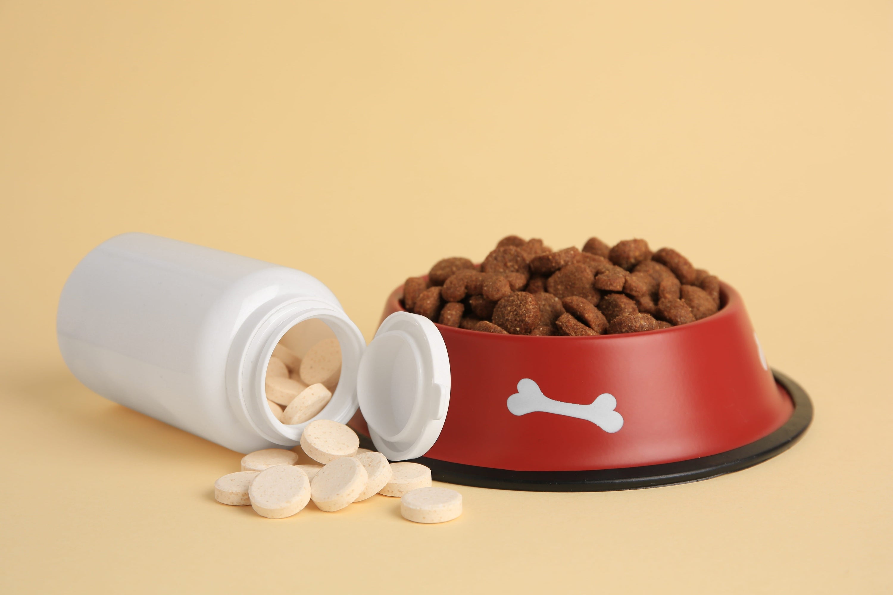 Dog vitamins vs dog supplements guide explaining the difference between daily dog vitamins, multivitamins, probiotics, and wellness supplements for dogs.