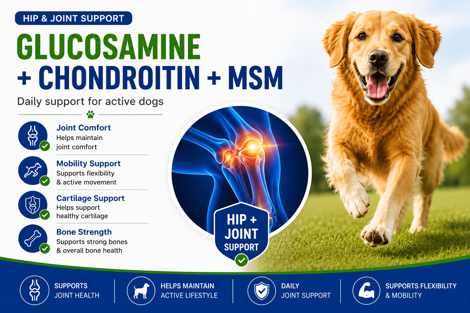 LaserGlow Pets dog joint support infographic with glucosamine, chondroitin, and MSM for hip and joint comfort, mobility, cartilage support, and active dogs.